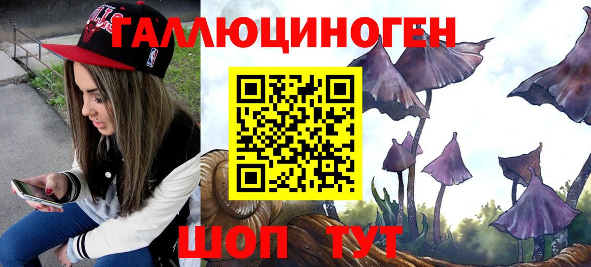 Псилоцибиновые грибы Magic Shrooms Аргун