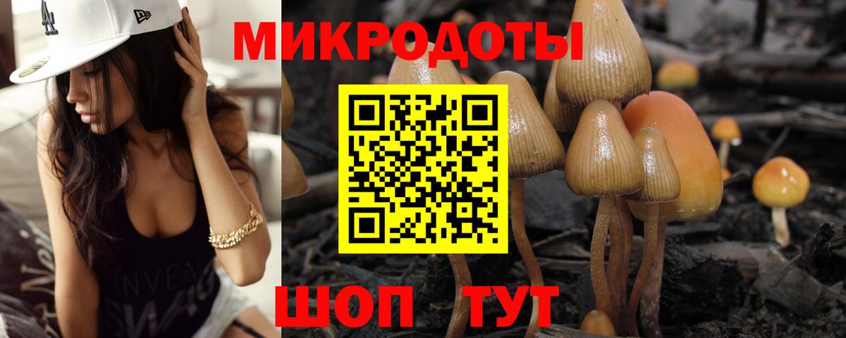 Аргун  Галлюциногенные грибы мицелий  Вход с VPN 